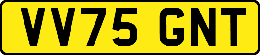 VV75GNT