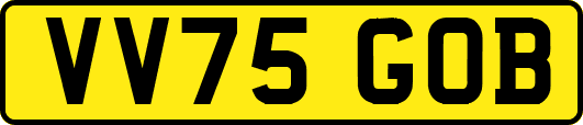 VV75GOB