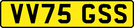 VV75GSS