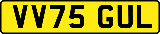 VV75GUL