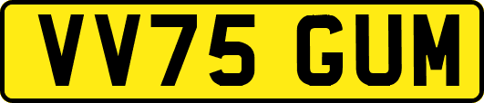 VV75GUM