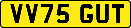 VV75GUT