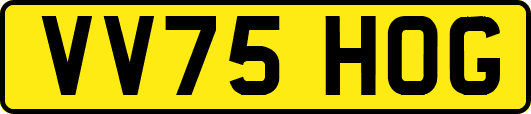 VV75HOG