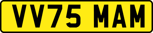 VV75MAM