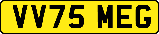 VV75MEG