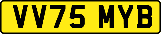 VV75MYB