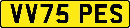 VV75PES