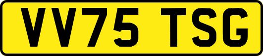 VV75TSG