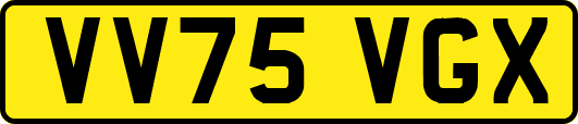 VV75VGX