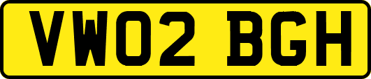 VW02BGH