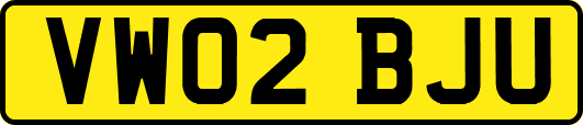 VW02BJU