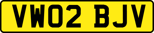 VW02BJV