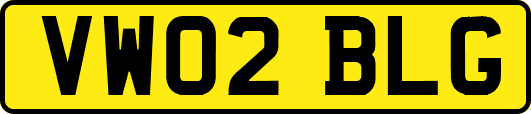 VW02BLG