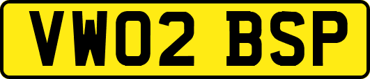 VW02BSP