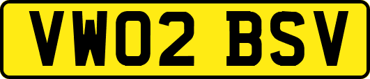 VW02BSV