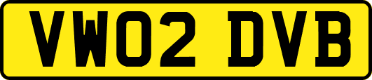 VW02DVB