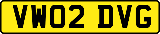 VW02DVG