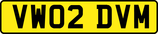 VW02DVM
