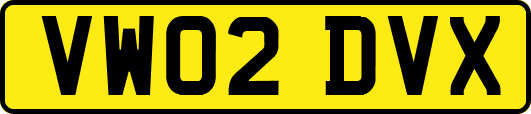 VW02DVX