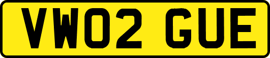 VW02GUE