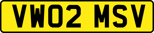 VW02MSV