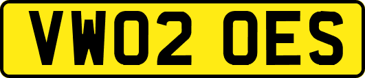 VW02OES