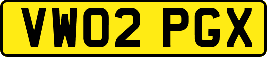 VW02PGX