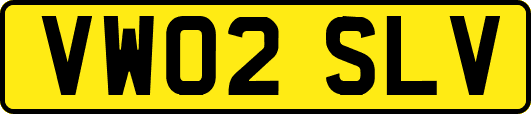 VW02SLV