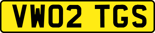 VW02TGS