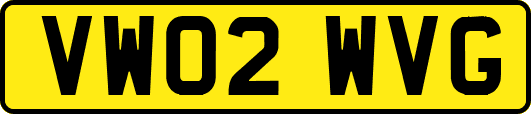 VW02WVG