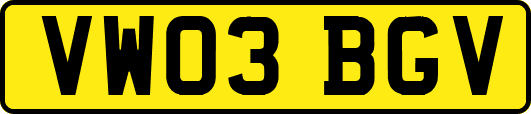 VW03BGV