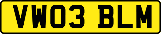 VW03BLM