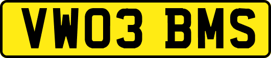 VW03BMS
