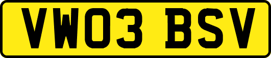 VW03BSV
