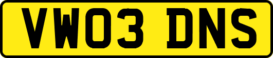 VW03DNS