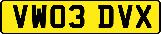 VW03DVX