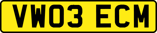 VW03ECM