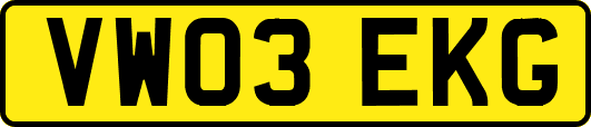 VW03EKG