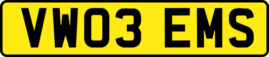 VW03EMS