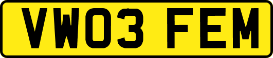 VW03FEM