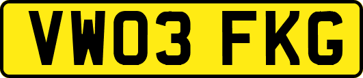 VW03FKG