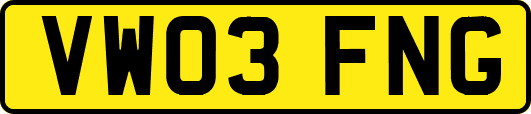 VW03FNG