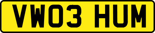VW03HUM