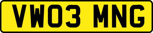 VW03MNG