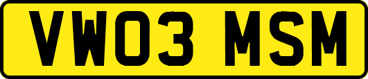 VW03MSM
