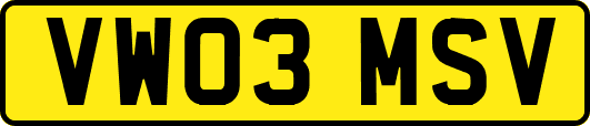 VW03MSV