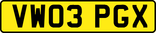 VW03PGX