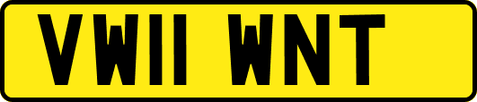 VW11WNT