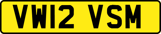 VW12VSM