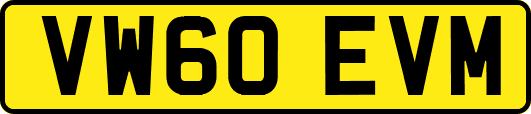 VW60EVM